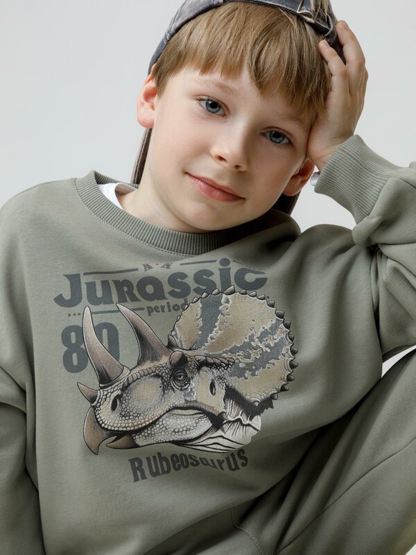 джемпер (свитшот) для мал